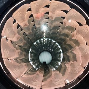 Meet your Posher, Braden